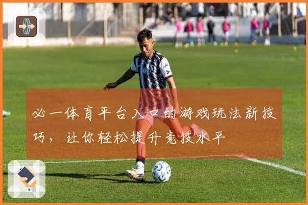 必一体育平台入口的游戏玩法新技巧，让你轻松提升竞技水平