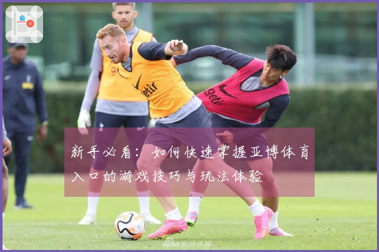 新手必看：如何快速掌握亚博体育入口的游戏技巧与玩法体验