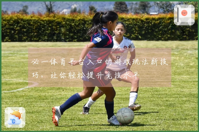 必一体育平台入口的游戏玩法新技巧，让你轻松提升竞技水平